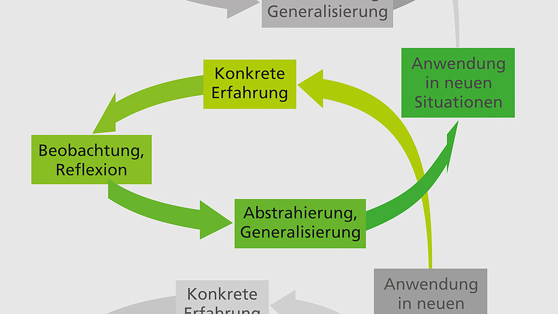 Grafisch Darstellung des Lernzyklus